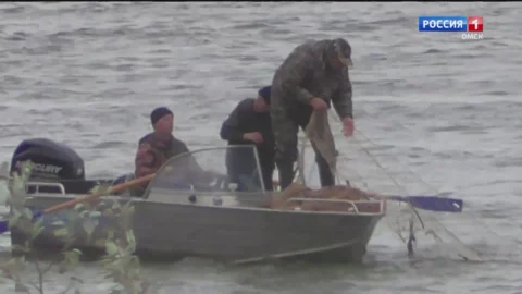 В Омской области браконьеры не смогли обжаловать приговор суда и избежать наказания за незаконный вылов стерляди