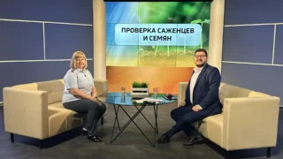 «Вести ЖКХ. Проверка семян и саженцев перед дачным сезоном»