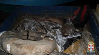 В Омской области мужчин задержали за вылов краснокнижной рыбы