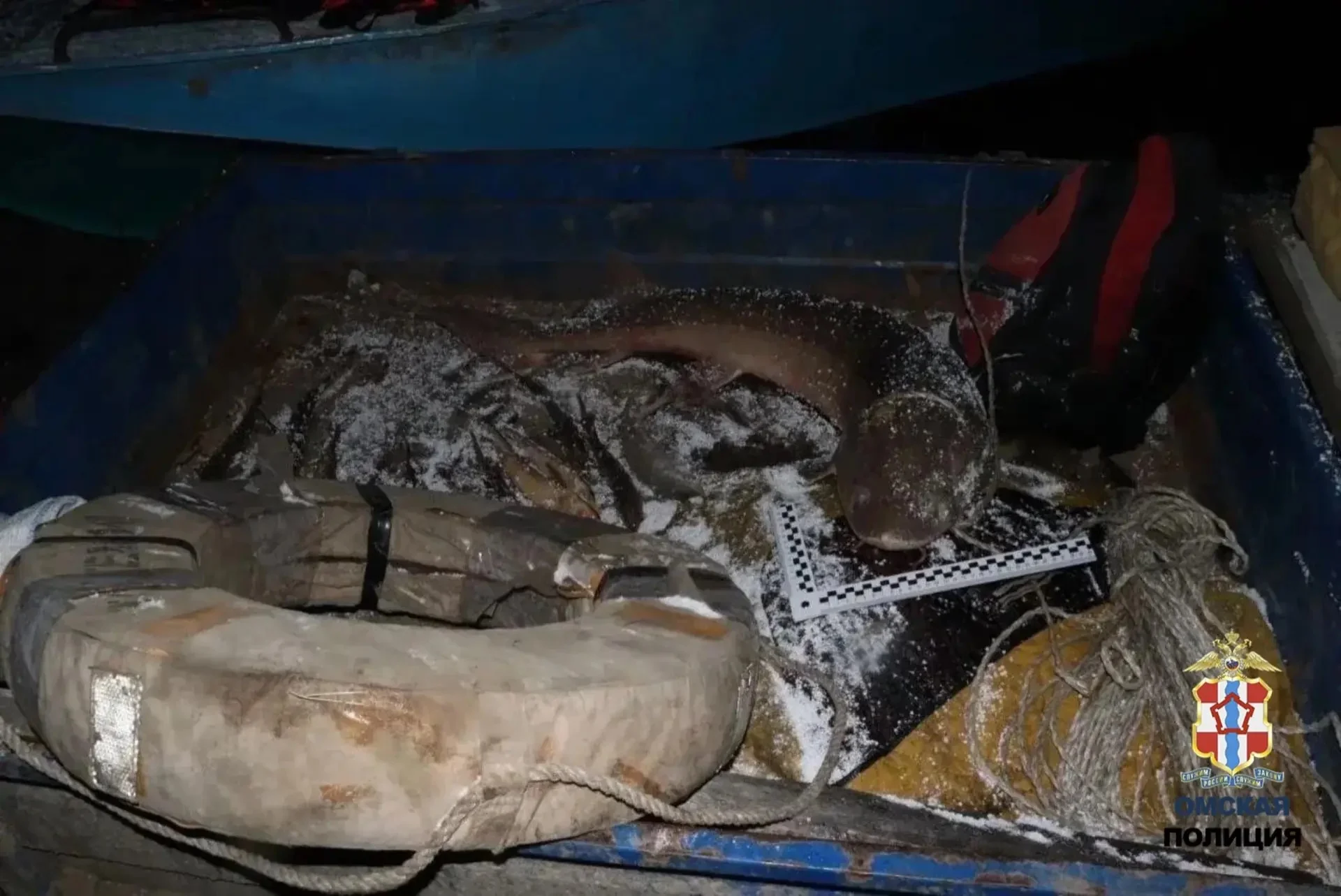 В Омской области мужчин задержали за вылов краснокнижной рыбы