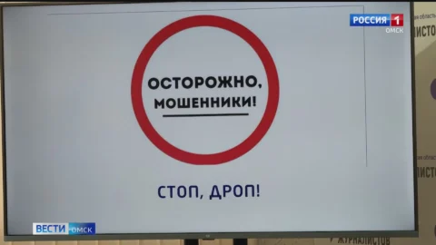 В Омске за три месяца дистанционные мошенники украли 406 млн рублей
