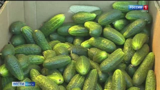 Метаболизм в организме человека после 60 лет не замедляется