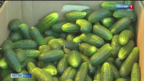 Метаболизм в организме человека после 60 лет не замедляется