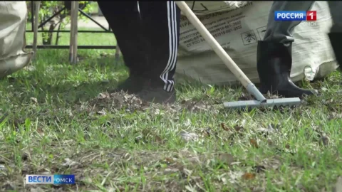 Весеннюю генеральную уборку устроили в Омске