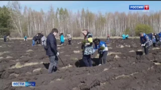 Омская область присоединилась к Всероссийской акции «Сад памяти»