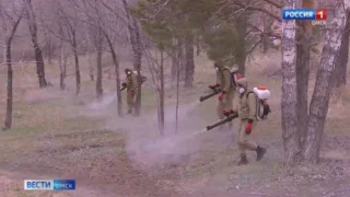 В Омске продолжают обрабатывать от клещей парки