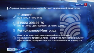 В Омской области сегодня работает «горячая линия» по противодействию нелегальной занятости