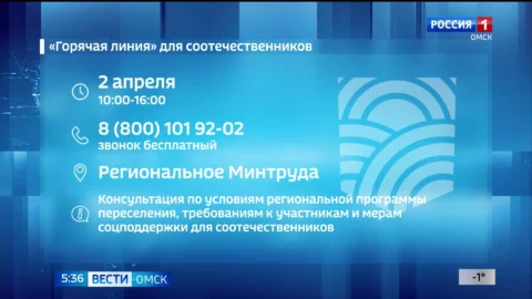 В Омской области сегодня проведут «горячую линию» для соотечественников