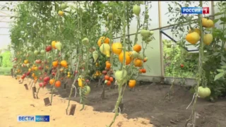 «Авангарду» удалось обойти трехкратного обладателя Кубка Гагарина и выйти в полуфинал плей-офф