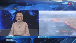 В Омской области произошло два лесных пожара за последние сутки