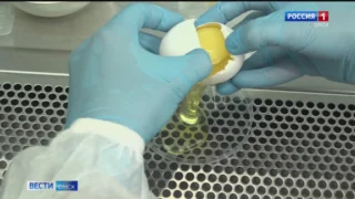 В преддверии праздника Светлой Пасхи в Омске начались массовые проверки качества творога и яиц