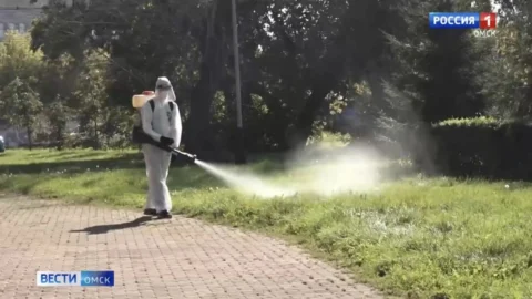 В Омске готовятся к противоклещевой обработке