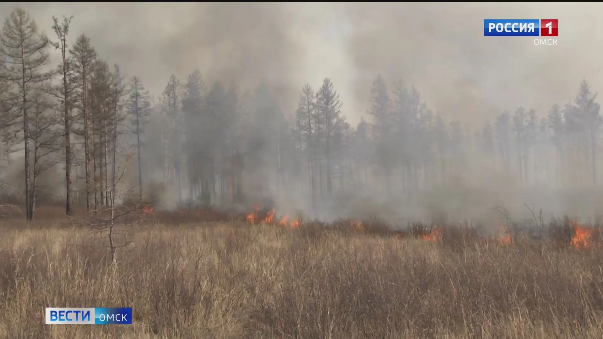 На севере Омской области введен особый противопожарный режим