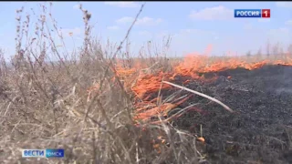 В Омской области за сутки потушили более полусотни пожаров