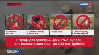 С завтрашнего дня особый противопожарный режим начнет действовать в северной части Омской области