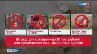 Омичам запретили жарить шашлыки, разводить костры, жечь траву и даже просто заезжать в лес