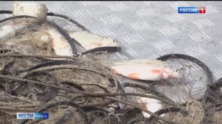 В Омской области ввели временные ограничения на ловлю рыбы