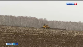 В Омской области урожай, который остался под снегом осенью, все-таки уберут этой весной