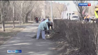 Омск присоединился к всероссийскому субботнику