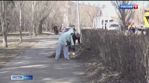 Омск присоединился к всероссийскому субботнику