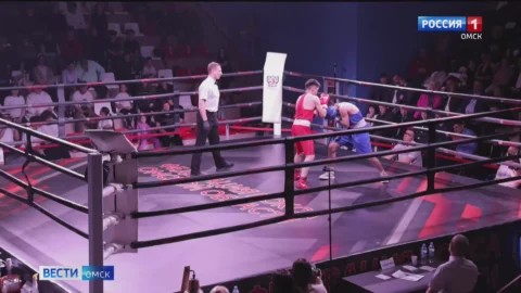 Омские боксеры завоевали 4 золотые медали на турнире имени Алексея Тищенко