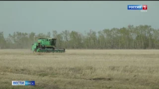 Аграрии Омского региона начали убирать урожай прошлого года