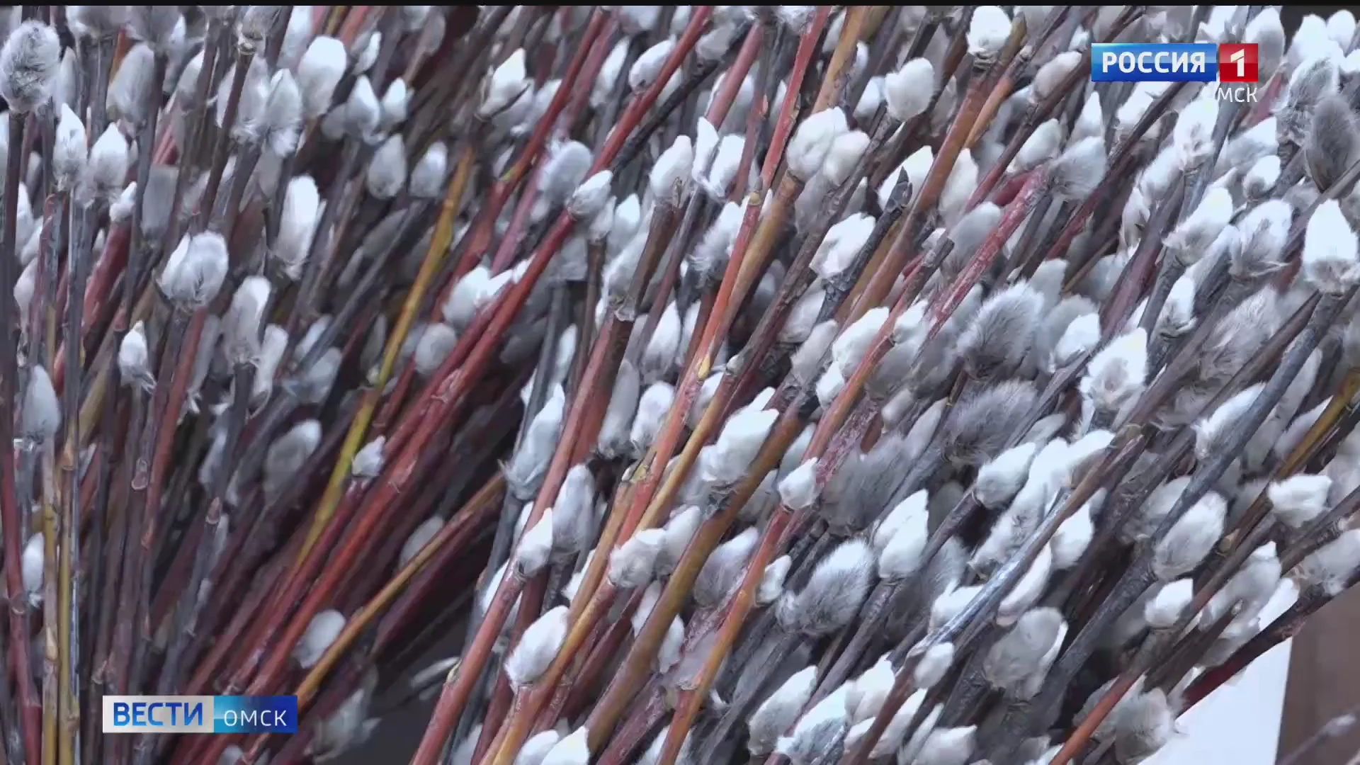 Омичи готовятся к Вербному воскресенью