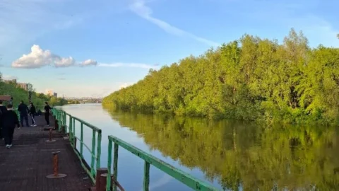 Подросток в Омске прыгнул на спор с пирса и утонул