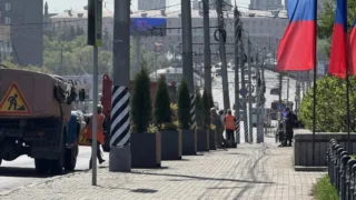 В Омске улицу Гагарина украсят многолетние деревья и кустарники