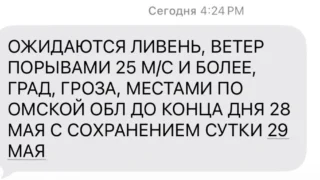 МЧС предупреждает омичей о сильном ветре с порывами