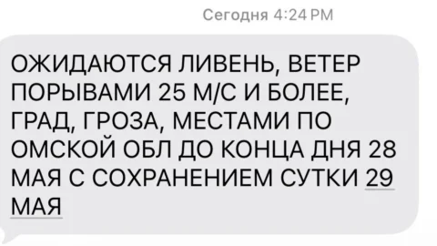 МЧС предупреждает омичей о сильном ветре с порывами
