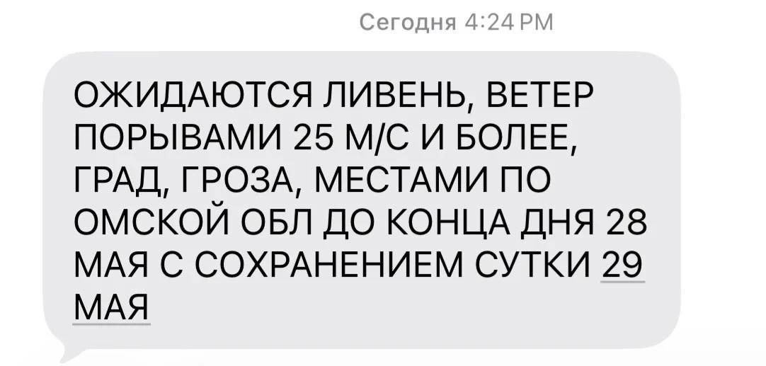 МЧС предупреждает омичей о сильном ветре с порывами
