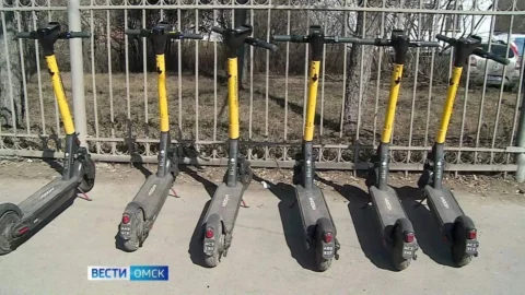 Аренда электросамокатов только через «Госуслуги»: Минтранс предложил обязательную авторизацию