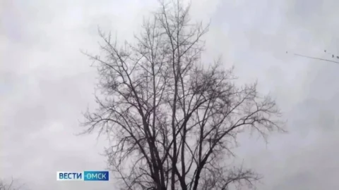 Омичей ждут грозы, град и сильный ветер