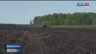 Омские аграрии приступили к посадке картофеля