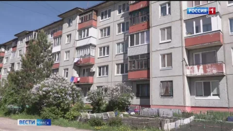 Омичи всё чаще обустраивают огороды на придомовой территории