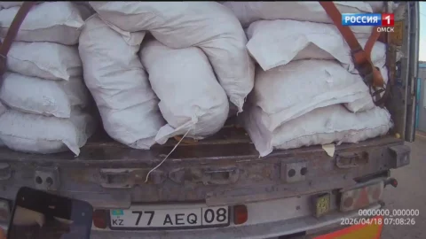 На омской границе задержали более 20 тонн грецких орехов