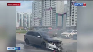 ️Лося, заблудившегося в Омске, отвезли обратно в лес