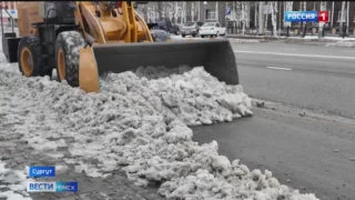 Теплая погода вернется в Омск уже к концу этой недели