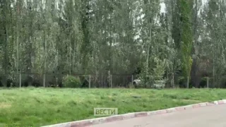В Омске пошел снег