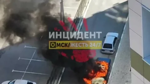 В мкр Изумрудный берег в Омске сгорела машина