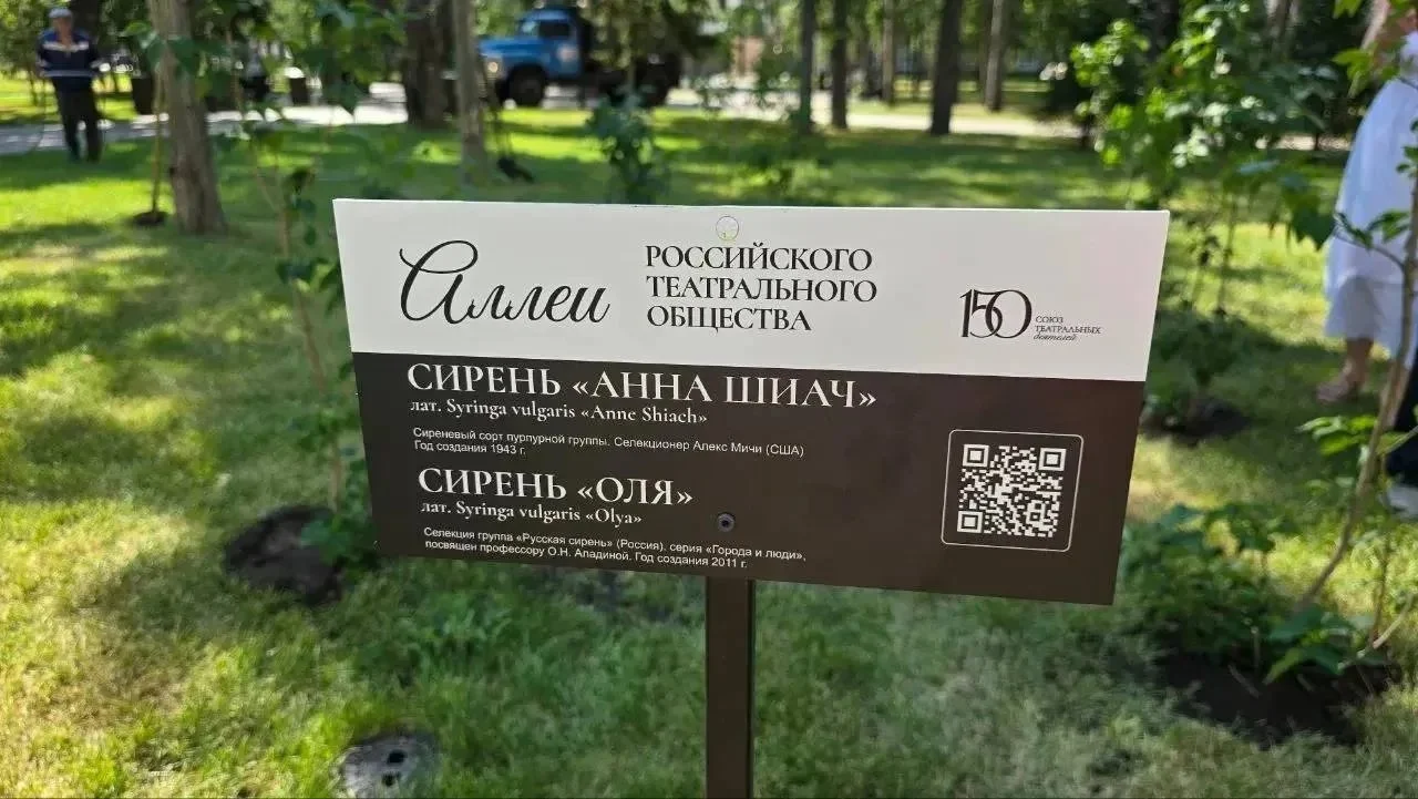 В Омске высадили аллею Российского театрального общества  