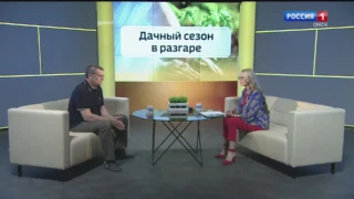 «Актуальное интервью. Дачный сезон в разгаре»