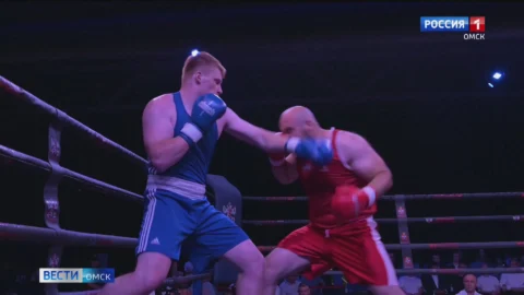 В Омске определились финалисты чемпионата СФО по боксу памяти Александра Малунцева
