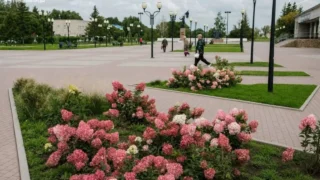 Масштабное благоустройство ведется в рабочем поселке Таврическое