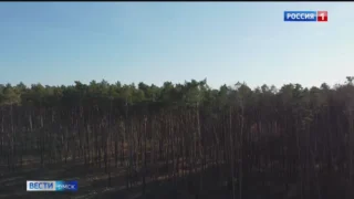 Омичи стали чаще выбирать отдых на природе
