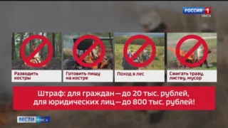 Омичам разрешат официально жарить шашлыки