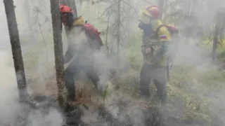 Омские авиапожарные продолжают борьбу с лесными пожарами в Томской области