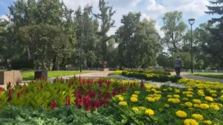 В Омске высадили более полумиллиона цветов