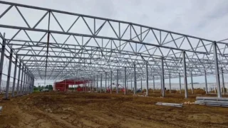 В Лузино строят круглогодичный тепличный комплекс